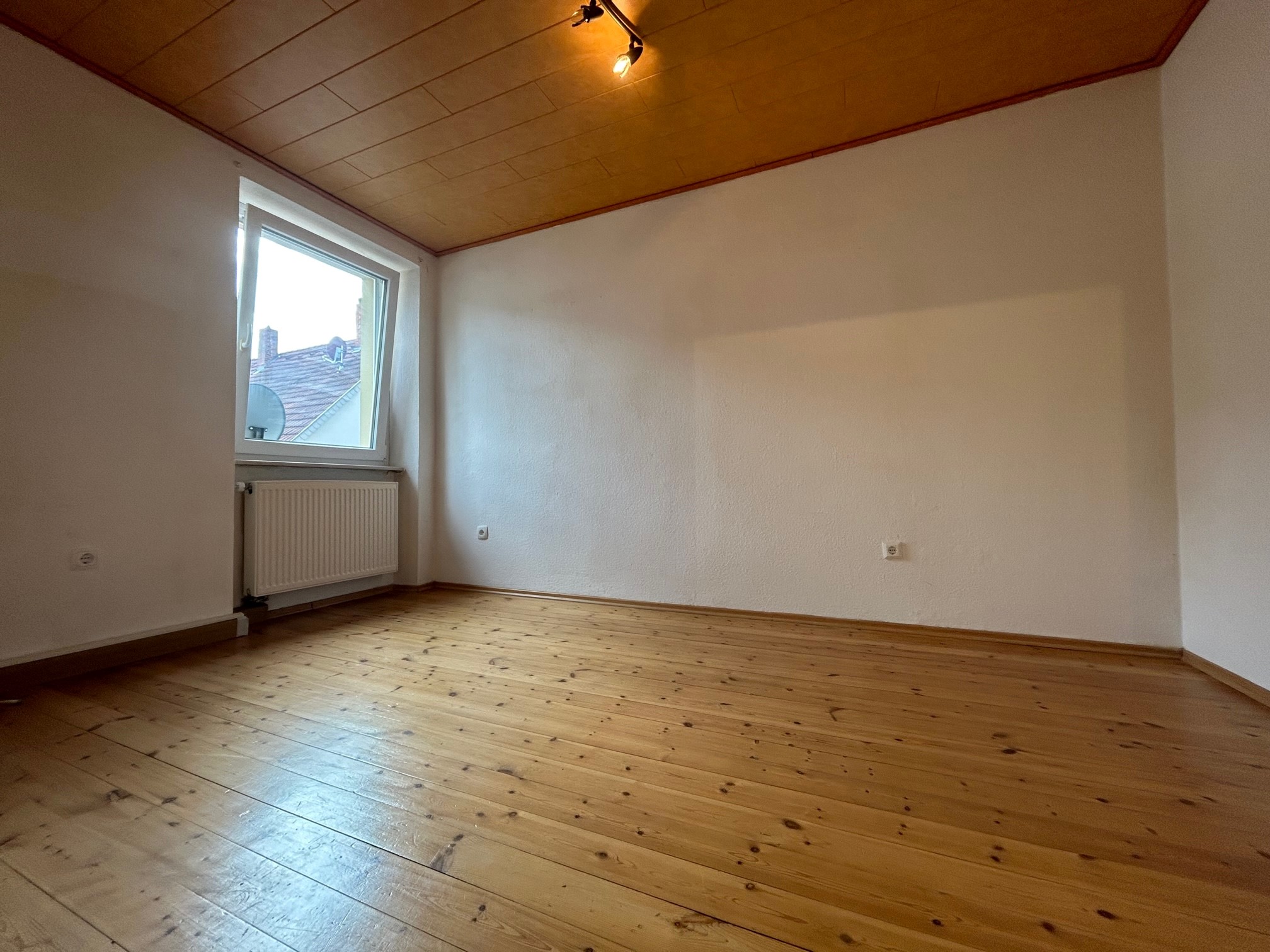 Zimmer1